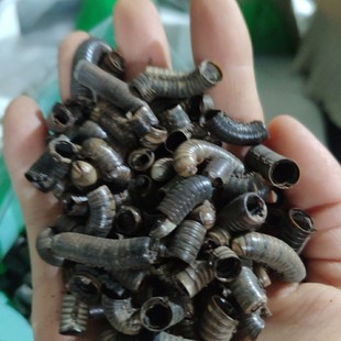 �R���ș�� 1ǧ��ǧ���x ɽ���x ���ڰٹ��x�R���x