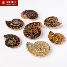 ���ݻ�ʯ������ԭʯԭ�V�V��˱���Ů�Ʒ�߲��ݾ�ʯ��Ƭؐ��