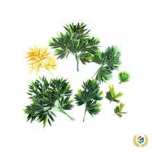 ���l?�J�������~�b� ���SɫС���~  �Gɫ���~��