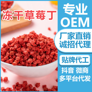 ����FD100��/����ݮ����ݮ����決�����b���ˮ����ѩ��������