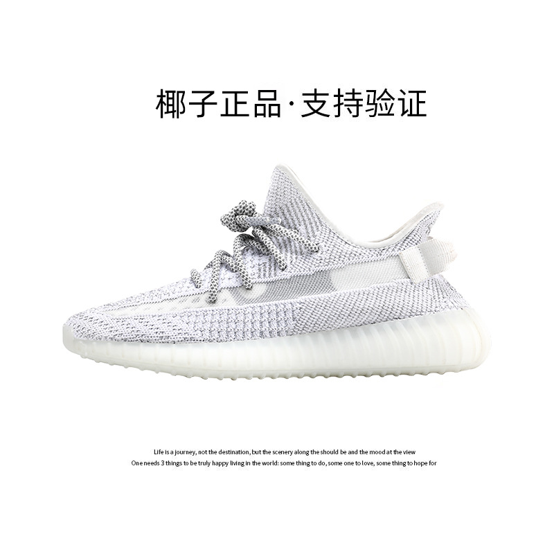 바이 안개꽃 [공식 정품 - 인증 지원]