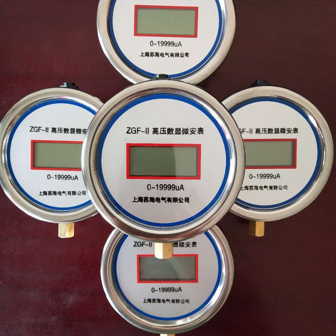 上海苏海微安表 高压数字微安表 直流高压发生器微安表 泄漏表