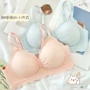 光面一片式聚拢少女奶昔