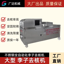 李子去核机全自动水果去核机械设备不锈钢挖核机厂家直发