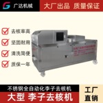 李子去核机全自动水果去核机械设备不锈钢挖核机厂家直发