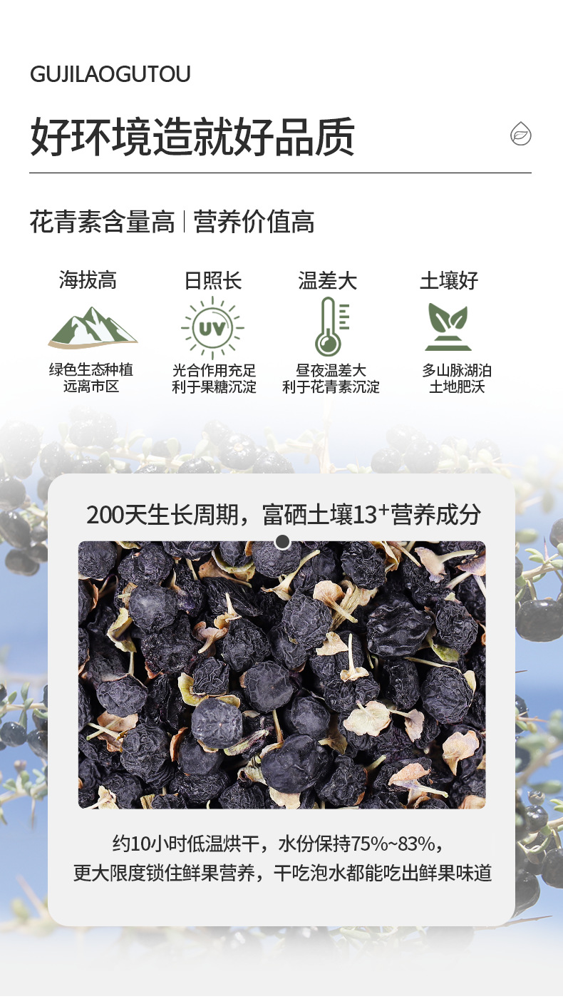Dried Black Goji Berry Large Fruit Premium Grade Ningxia Wolfberry for Tea and Soup overview
