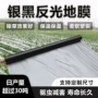 除草打孔加厚农用黑地膜