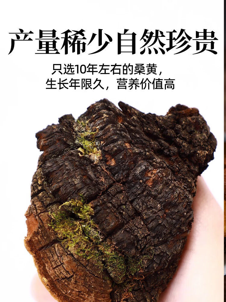 Sang Huang Dried Phellinus Mushroom Premium Tibet Grade Tea Herb 375g Set specifications