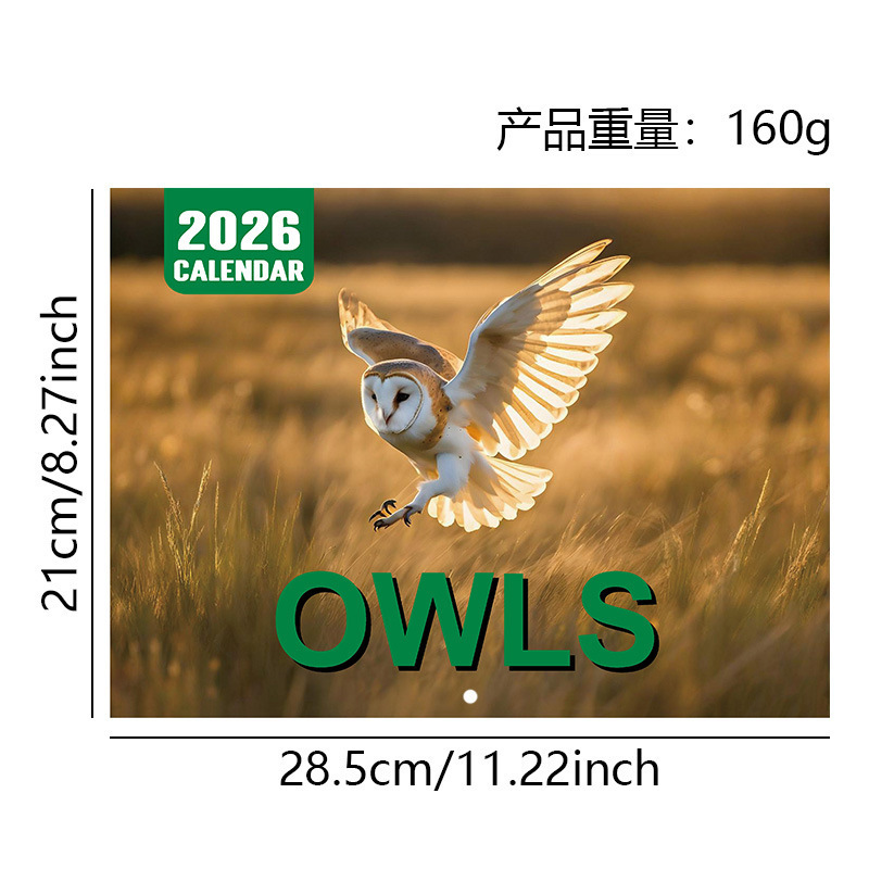 クロスボーダー新製品 2026 カレンダー 壁掛けカレンダー ワークキャット ワークドッグ カンフーキャット キャットワールドカップ|undefined