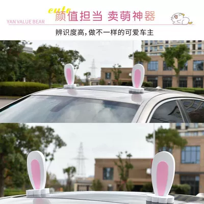 Other Car Modifications – ears decoration