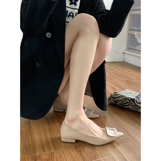 Etiquette Low Heels Women's Soft Bottom Comfortable French Pointed Black Suede Commuter Mary Jane Women's Shoes