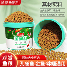 ͨ���^�p�~������ϸ��w���������\�����~��ȸ�~���~�~ʳ�ߵ���