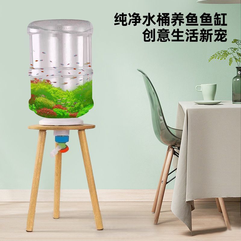 纯净水桶养鱼创意透明鱼缸矿泉水桶改装生态鱼缸自制饮水机桶养鱼|undefined