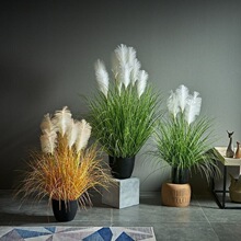 ���N�҃��bGֲ�����W�t��ر��W�͏d��β�Ͳݔ[���ٻ��JȔֲ��