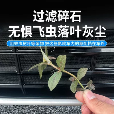 Automobile anti-insect net | net, water tank protection