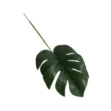 ���û�cꐻ��Gֲ�����滨�b�ɭϵ�û��Gɫ�Ļ�Yɢβ������ϵ