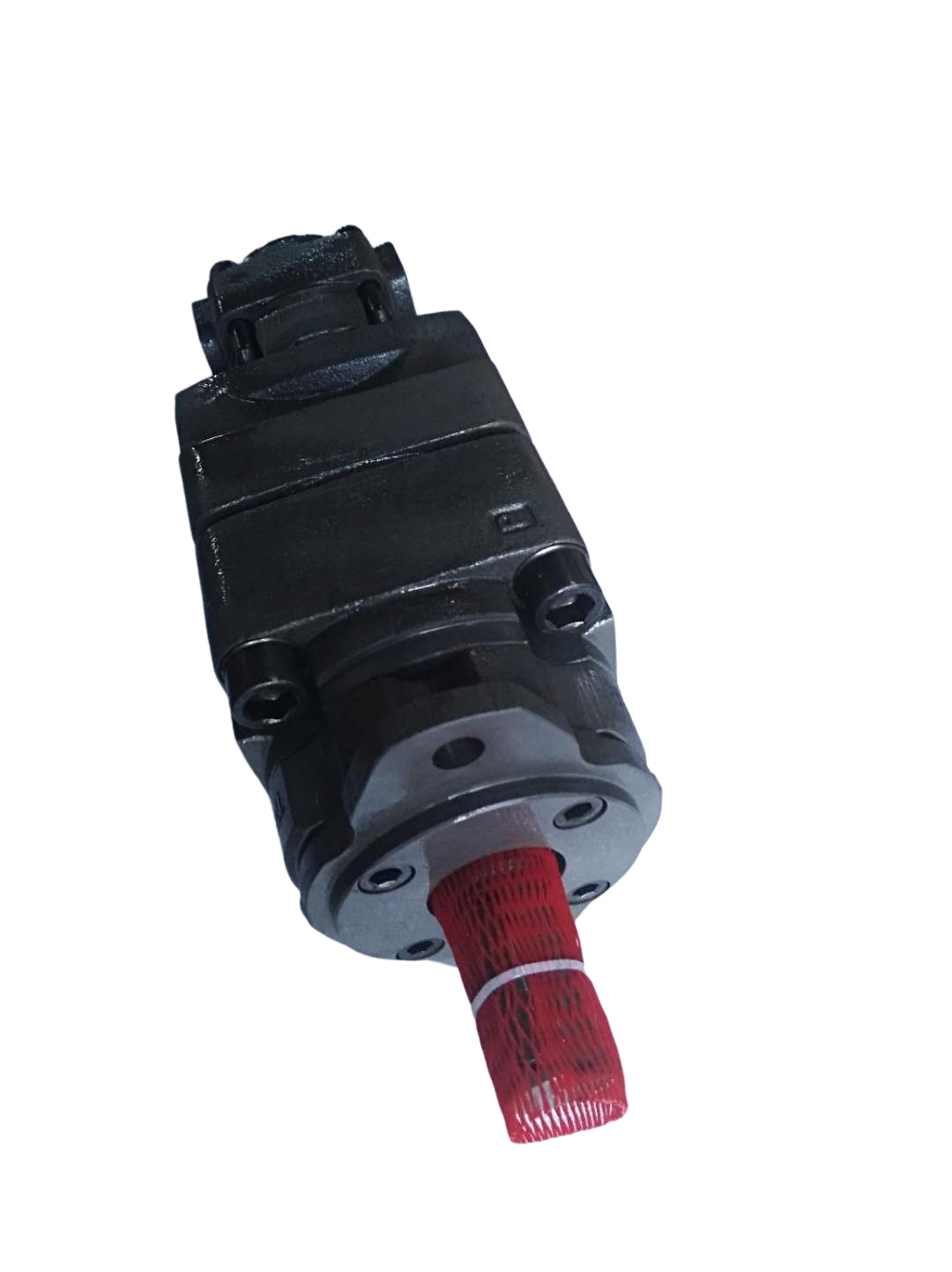 D41VW006E4NGW91德国BUCHER布赫齿轮泵QX51-125/31-020R29