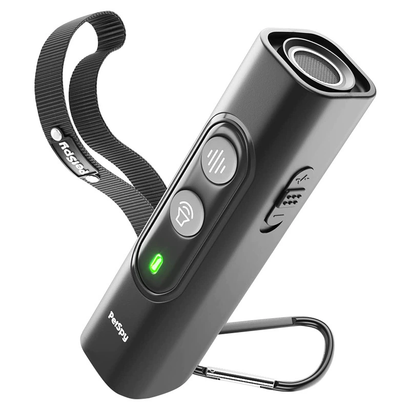 Flashlight, 2023 collection, Amazon