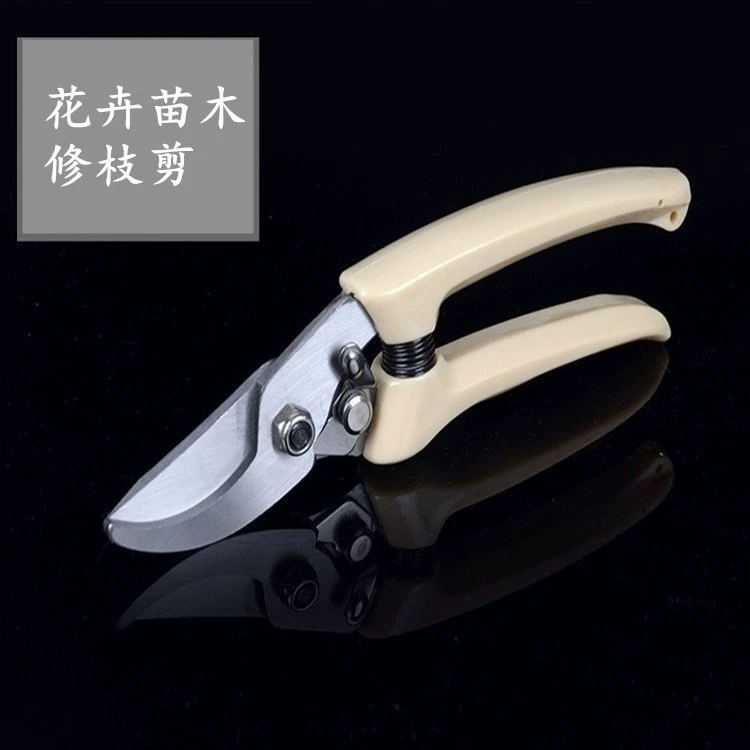 Цветочные ножницы обрезали старых фермеров