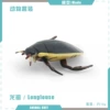 T15705 dragon louse 13g