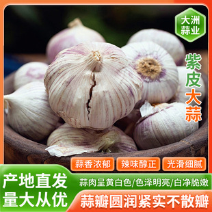 �����^��tƤ���r��55�������¸ɴ����^�¸ɸɰ�Ƥ�⪚�^������l