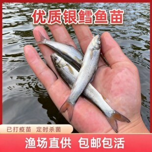 ���|��ˮ�y�L�~����[?�~�絭ˮ�~���y�Lˮ���~����]����
