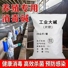 ���I���|�Bֳ���������������B�iţ���u���A���i�����������|Ƭ