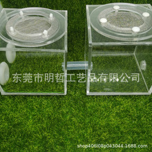 方形蚁巢透明活动区丙烯酸蚂蚁农场攀爬宠物喂食箱7x7x7cm