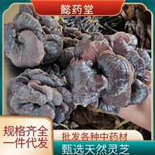 LɽȻ`֥ `֥ݾĥ a؛Դl`֥Ƭɢb