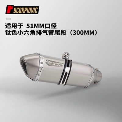 Motorcycle exhaust pipe modified small hexagonal stainless steel tail muffler is suitable for 51mm diameter non-destructive straight up (Motorcycle exhaust pipe) - titanium-color-small-hexagon-300mm