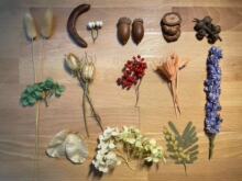 ����ҵĻ������b���Ȼ�����ɻ��ɹ����~ֲ��˺�diy���ϰ��M��