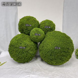 ������̦�� �B�C��̦��ĭ�� ��ˇܛ�b��픈A������ 5��Ҏ���С