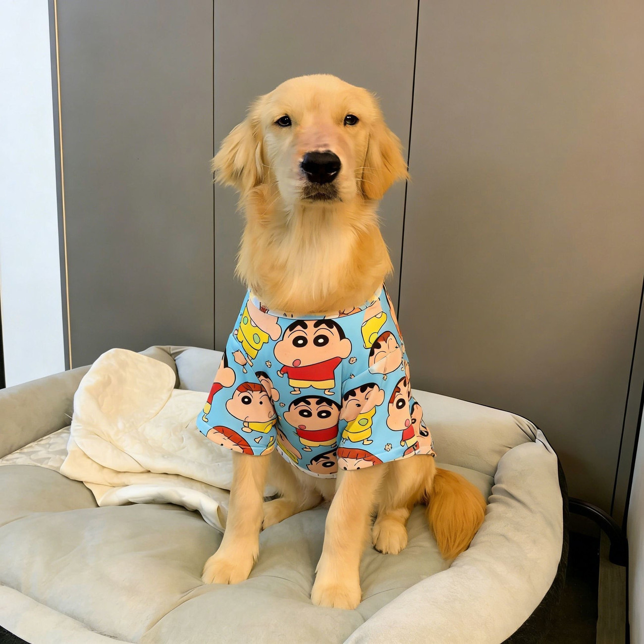 大型犬大狗狗衣服薄款拉布拉多金毛衣服凉快狗狗网眼透气衣服可爱