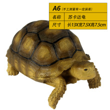A6苏卡达乌龟模型水龟乌龟箱造景装饰用品树脂模型