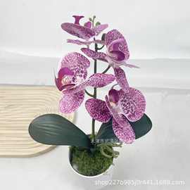 蝴蝶兰高仿真花艺盆栽3D打印假花家居客厅装饰簪花材料外贸布景