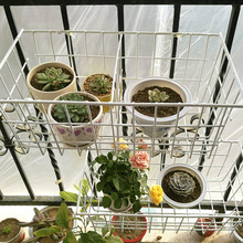 �Fˇ�ռ{�@�N����ʳ�ռ{������W���F�z��������������ռ{���̖