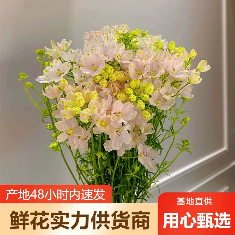 Оптовая продажа цветов Xiaofeiyanyan, база цветов Юньнань, прямая партия, свадебное украшение, цветочный магазин, стойка, групповая покупка, поставка