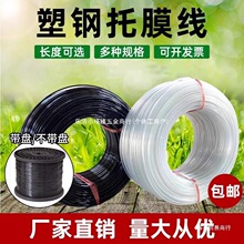 �ܸ����ܸ�������ѹĤ�߾�����Ļ�߹Ϲ����԰����ֳũҵ