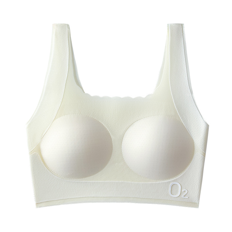 [C880 #] 쌀 과일 화이트