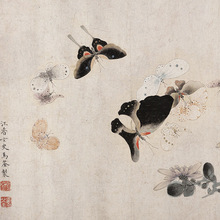 ���R�����ܺ����D�����B���¹Ů�������������Ʒ�L���֮��YƷ�־�