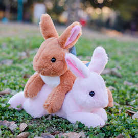 兔毛绒公仔大号趴趴兔多色小白兔娃娃小兔毛玩偶宝宝女生生日礼品