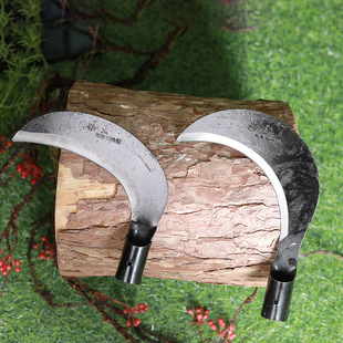 ����r�ù������l���^砵��^�~�^砵��r�ò�砵���ݵ��^����絶