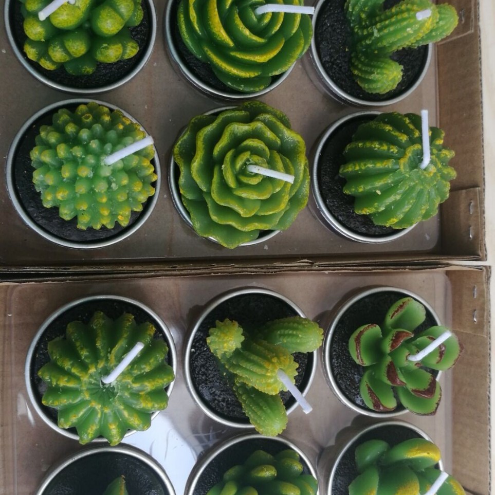 Nueva iluminación en caja vela simulación cactus flor vela planta suculenta vela Día de San Valentín té cera