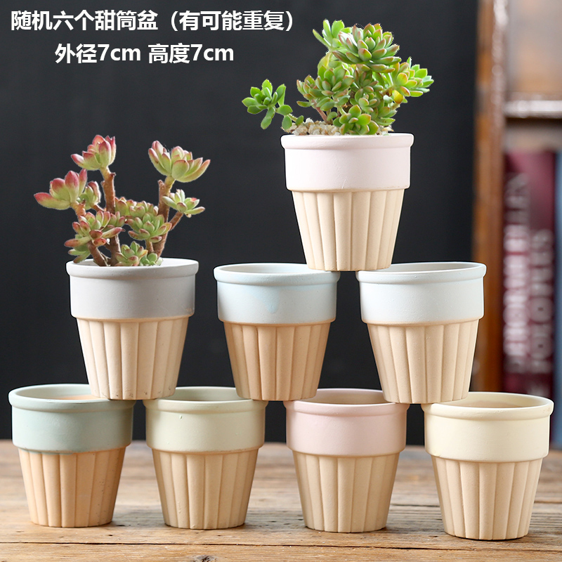 세라믹 - 무작위 아이스크림 콘 6개와 고기 대야 - 조합