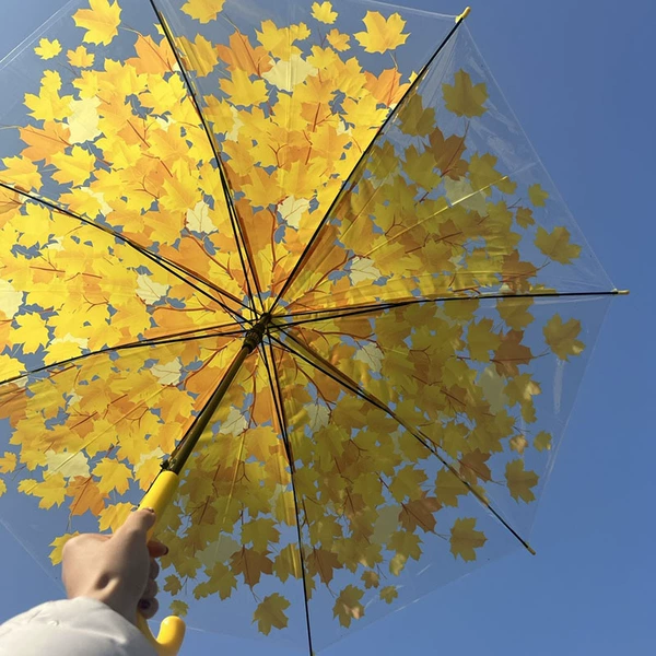 Maple leaf transparent umbrella*yellow