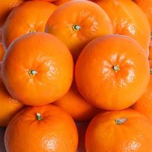 廣西沃柑橘子新鮮水果當季整箱批發桔子甜薄皮量大從優現貨包郵