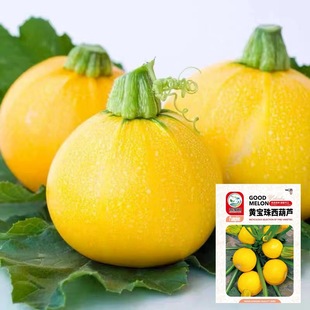 �S���������J�N�����SƤ�A�͟Ό���ļ��̨����ͥԺ�����߲˷N��