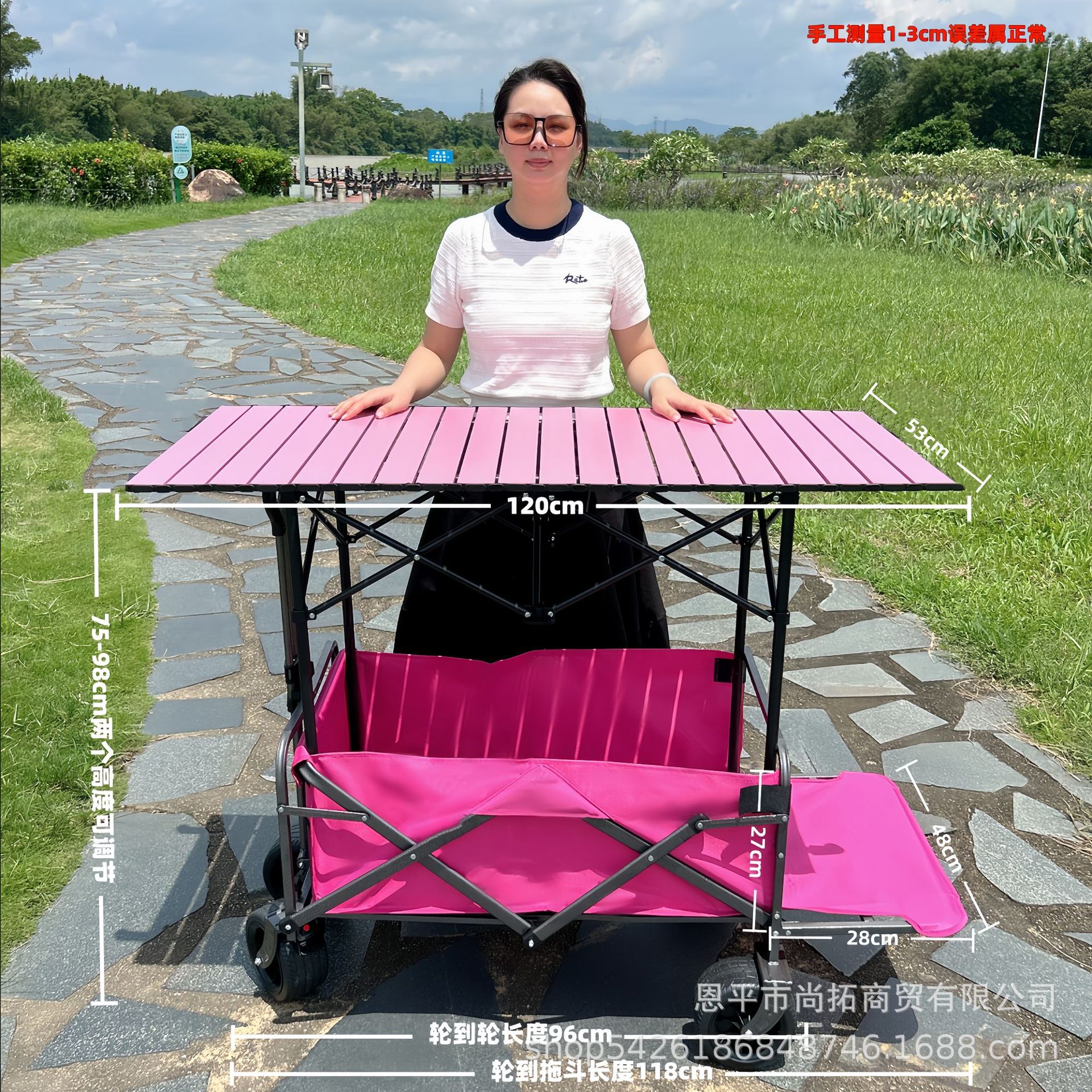 Carro de Campamento Plegable de Metal para Camping y Exteriores