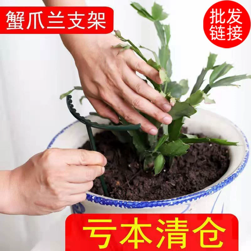 Краб коготь Орхидея поддержка суккулент Подсолнечник спаржа Орхидея жилье Предотвращение Специальная подставка для цветов виноградный лист защита Форма поддержки