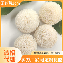 �ɻ�ͨ�ݻ��ջ��^3CM������N�o����޹�]�l�ٗl���պ���������